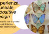 Isia Faenza: Esperienza museale e positive design. Uno studio con il Museo Civico di Scienze Naturali Malmerendi