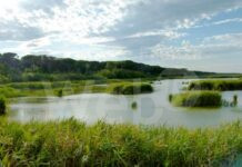 Caso Ortazzino, AVS chiede il passaggio immediato a Zona B