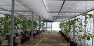 Il CAV di Tebano è Stazione di Pre-Quarantena europea per l’export di materiale vivaistico frutticolo in Nuova Zelanda