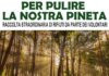 Ambiente. I volontari PD organizzano una raccolta straordinaria di rifiuti nella pineta di Marina di Ravenna