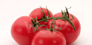 Mangiano pomodorini a scuola: alunni accusano malori