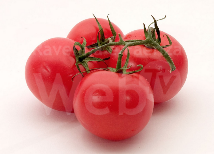 Schermata 2024-05-10 alle 18.21.35