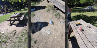 Cambiamo il Comune: “Darsena. Insicurezza e degrado nel Parco Mani Fiorite”