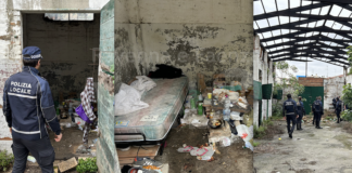 Occupazione di diverse stalle all’ex Ippodromo di Ravenna. Controlli della Polizia Locale