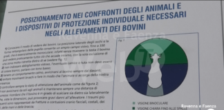 Da Coldiretti una nuova campagna informativa per prevenire incidenti e infortuni nelle aziende agricole