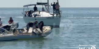 Liberate in mare due tartarughe marine da Cestha. Oggi giornata di mare e inclusività