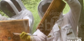 Evoluzione Servizi presenta “Beeway” e inaugura il proprio apiario, nella giornata mondiale delle api