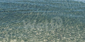 Balneazione, rientrati i valori a Cesenatico e Cervia