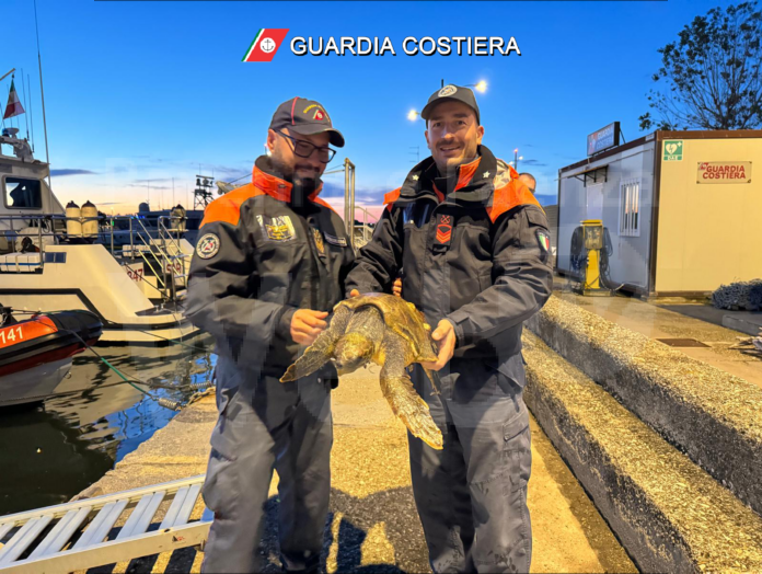 Tartaruga - Guardia Costiera & Cestha 2