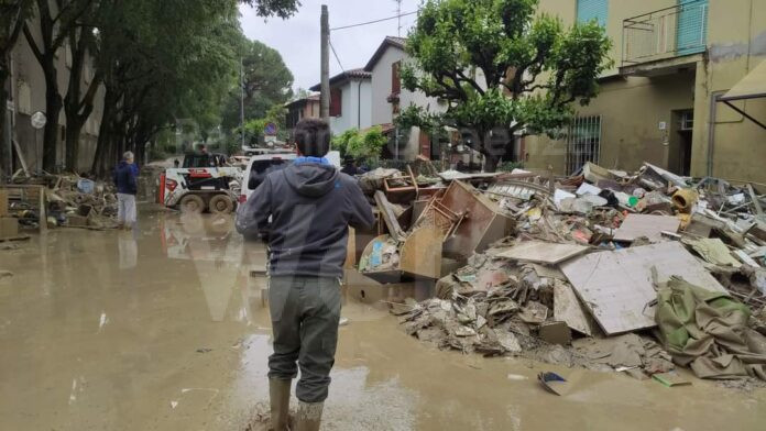 WhatsApp Image 2024-05-14 at 09.02.37