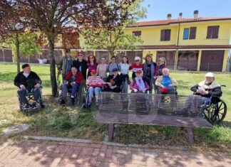 Conselice: gli alberi “ospiti” della Jus Pascendi sono ora in un parco