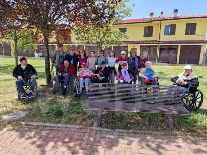 albero per tutti - 3