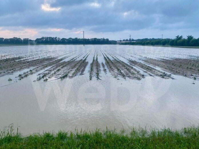 bombadacqua_15maggio
