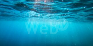 Mare e Università, tavola rotonda dedicata a ricerca e didattica