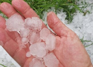 Maltempo: Coldiretti, la grandine ha danneggiato i frutteti