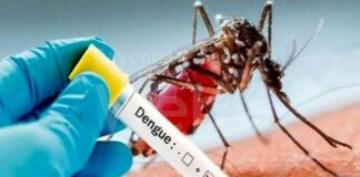 Un altro caso di Dengue a Ravenna