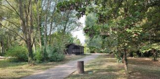 Al parco del Loto una scuola di natura