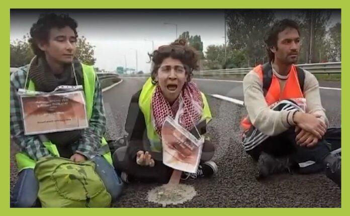 photo_2024-05-02_00-53-04