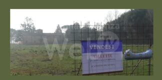 Ravenna in Comune: Se la democrazia è viva anche il cemento si può fermare