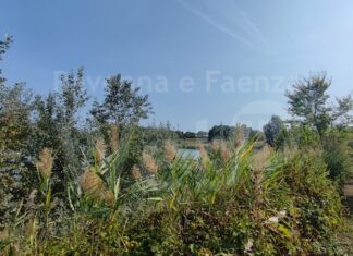 Due appuntamenti per conoscere le buche Gattelli, un luogo pieno di storia e dal grande valore naturalistic