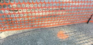 Modifiche alla viabilità in via Saviotti e in via Manara