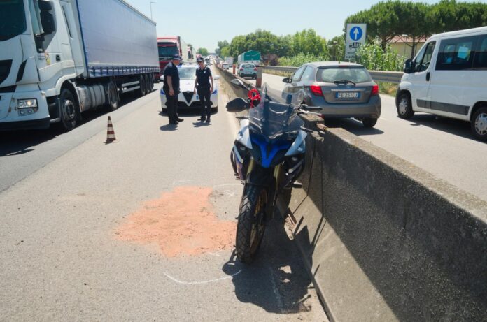 448189172_280005165197540_5871100652399201276_n