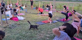 Ritorna la serata di Pilates Felino all’infermeria felina di Bizzuno