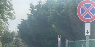 Ancisi (LpRa): “Lido di Dante, risanare il tratto finale di via Catone e la pineta acconto”