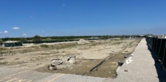 Ancisi (LpRa): Micidiale traffico crocieristico travolge via Molo Sanfilippo