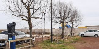 Parco giardino da restaurare a Lido di Dante: ordine del giorno votato all’unanimità