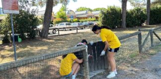 Lavori in Comune: ancora posti disponibili per iscriversi ai laboratori di volontariato e cittadinanza attiva