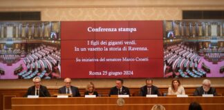 I figli dei giganti verdi: un progetto riperccore la storia degli alberi monumentali