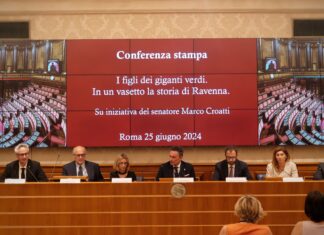 I figli dei giganti verdi: un progetto riperccore la storia degli alberi monumentali