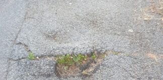 Salzano e Di Pasquale (FdI): Piste ciclabili Camel Trophy