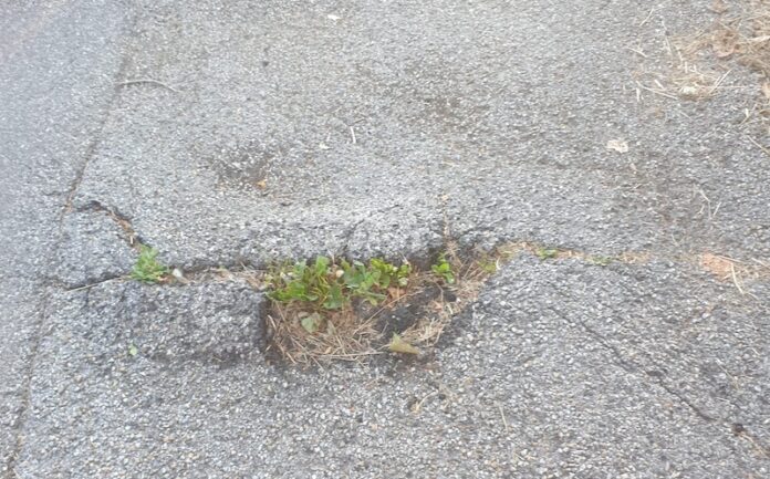 PHOTO-2024-06-15-16-32-43