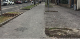 Ancisi (LpRa): Viali della Stazione. 30 platani vengono ripiantati e tornano 9 alberi nel parco spoglio di piazza Rosmini