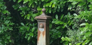 Fontanelle comunali. Tritto (Forza Italia): “Degrado e abbandono”