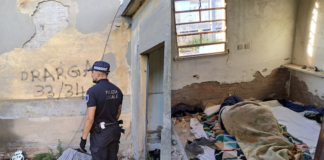 Operazione antidegrado della Polizia Locale all’Ex Silos Granari del Candiano