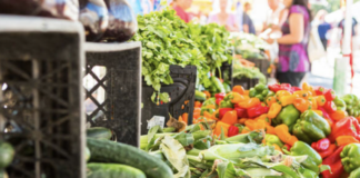 Conselice: per il mercato contadino, gli imprenditori agricoli possono fare domanda fino al 31 ottobre