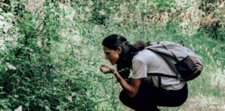 Cervia Città Giardino insieme per la natura