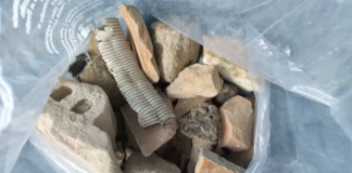 Italia Nostra: Rifiuti nel Parco Marittimo a Ravenna, un pericoloso precedente