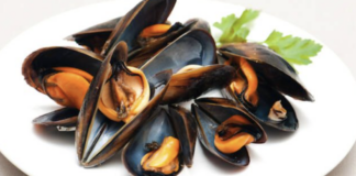 La Cozza Selvaggia di Marina di Ravenna in Festa