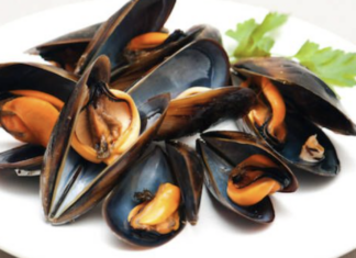 La Cozza Selvaggia di Marina di Ravenna in Festa