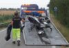 Scontro all’incrocio fra uno scooter e un’auto: 63enne trasportato al Bufalini