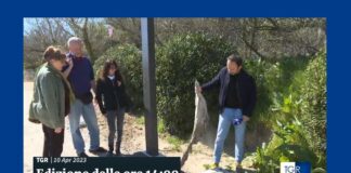 Ravenna in Comune: Il miracolo dei rifiuti trasformati in pietrisco