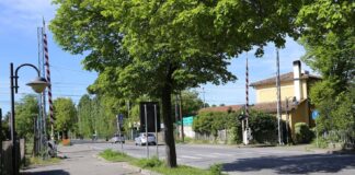 Bagnacavallo: Interrotta la circolazione notturna per lavori sulla provinciale 8 Naviglio