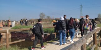 Termina il primo anno di “RiscaldaMenti”, percorso di educazione ambientale che ha coinvolto 15 classi del cervese