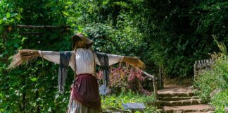 Bagnacavallo: Un laboratorio per costruire spaventapasseri con l’associazione HumuSapiens