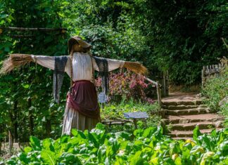 Bagnacavallo: Un laboratorio per costruire spaventapasseri con l’associazione HumuSapiens