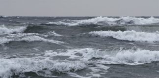 Protezione civile: allerta meteo gialla per vento e stato del mare